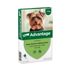 Advantage Cane