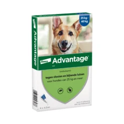 Advantage Cane