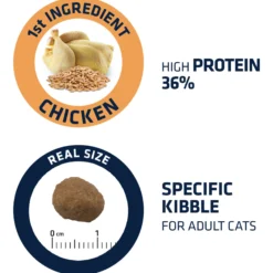 Affinity Advance Adult Pollo e Riso - Gatto