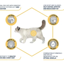 Affinity Advance Sterilized Salmon Sensitive - Gatto