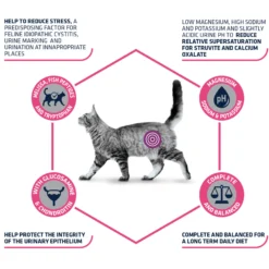 Affinity Advance Veterinary Diets Urinary Stress Gatto