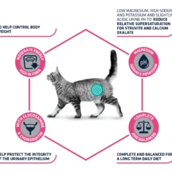 Affinity Advance Veterinary Diets Urinary Sterilized Low Calorie Gatto