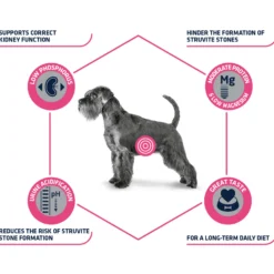 Affinity Advance Veterinary Diets Urinary Cane