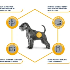 Affinity Advance Veterinary Diets Renal Cane
