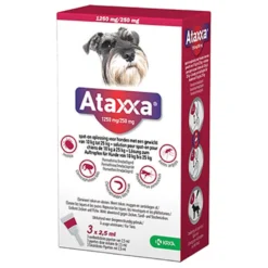 Ataxxa