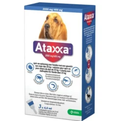 Ataxxa
