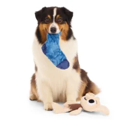 Bark Harry Potter Dobby Peluche