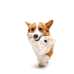Bark Harry Potter Dobby Peluche