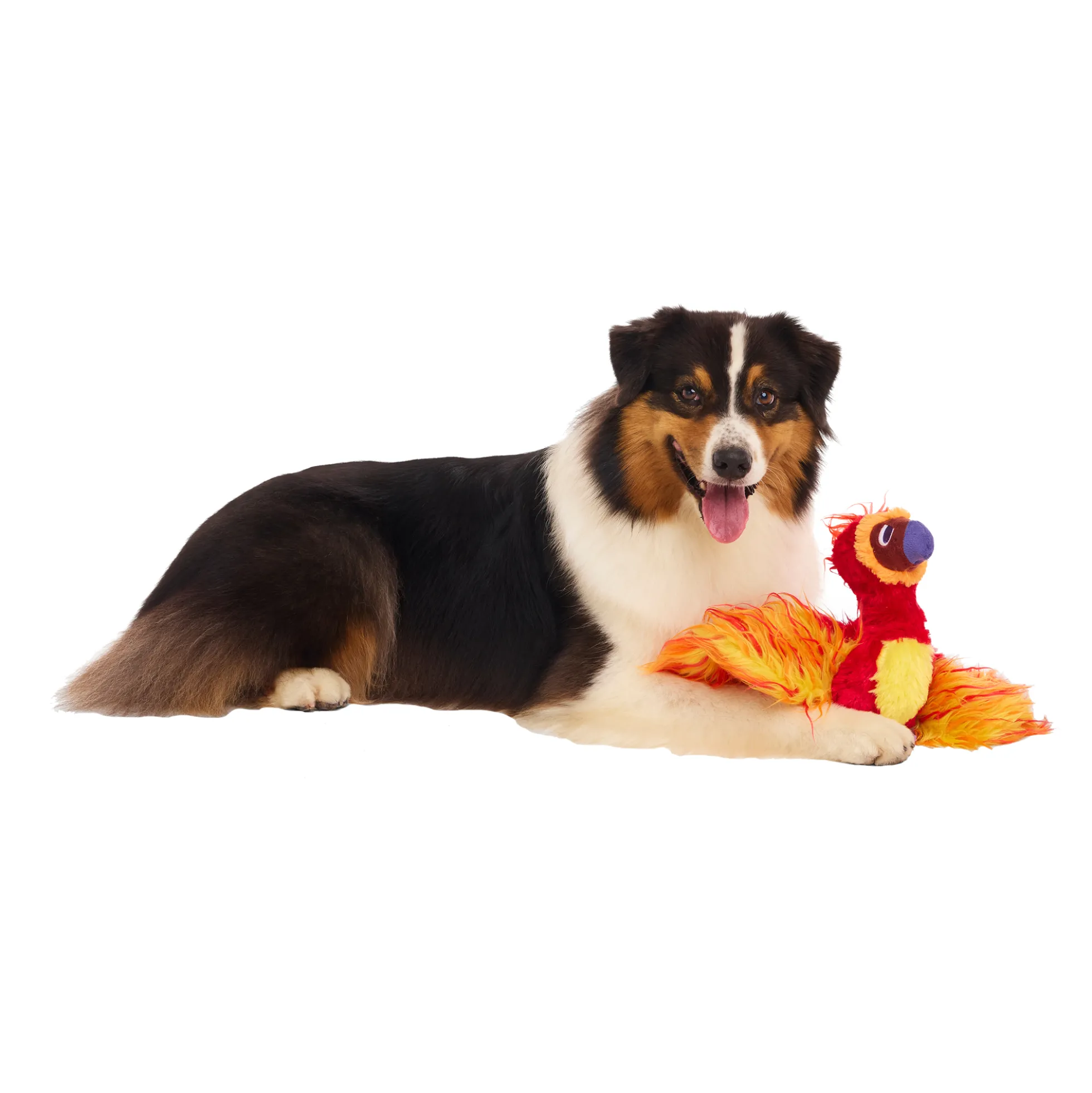 Bark Harry Potter Fawkes Peluche