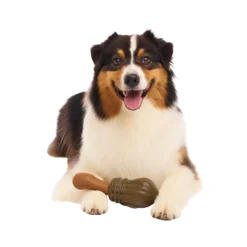 Bark Harry Potter Nimbus 2000