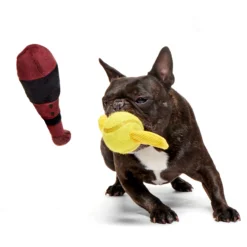 Bark Harry Potter Quidditch Set