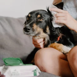 Beco Dog Ear Wipes - Coconut