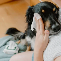 Beco Dog Eye Wipes