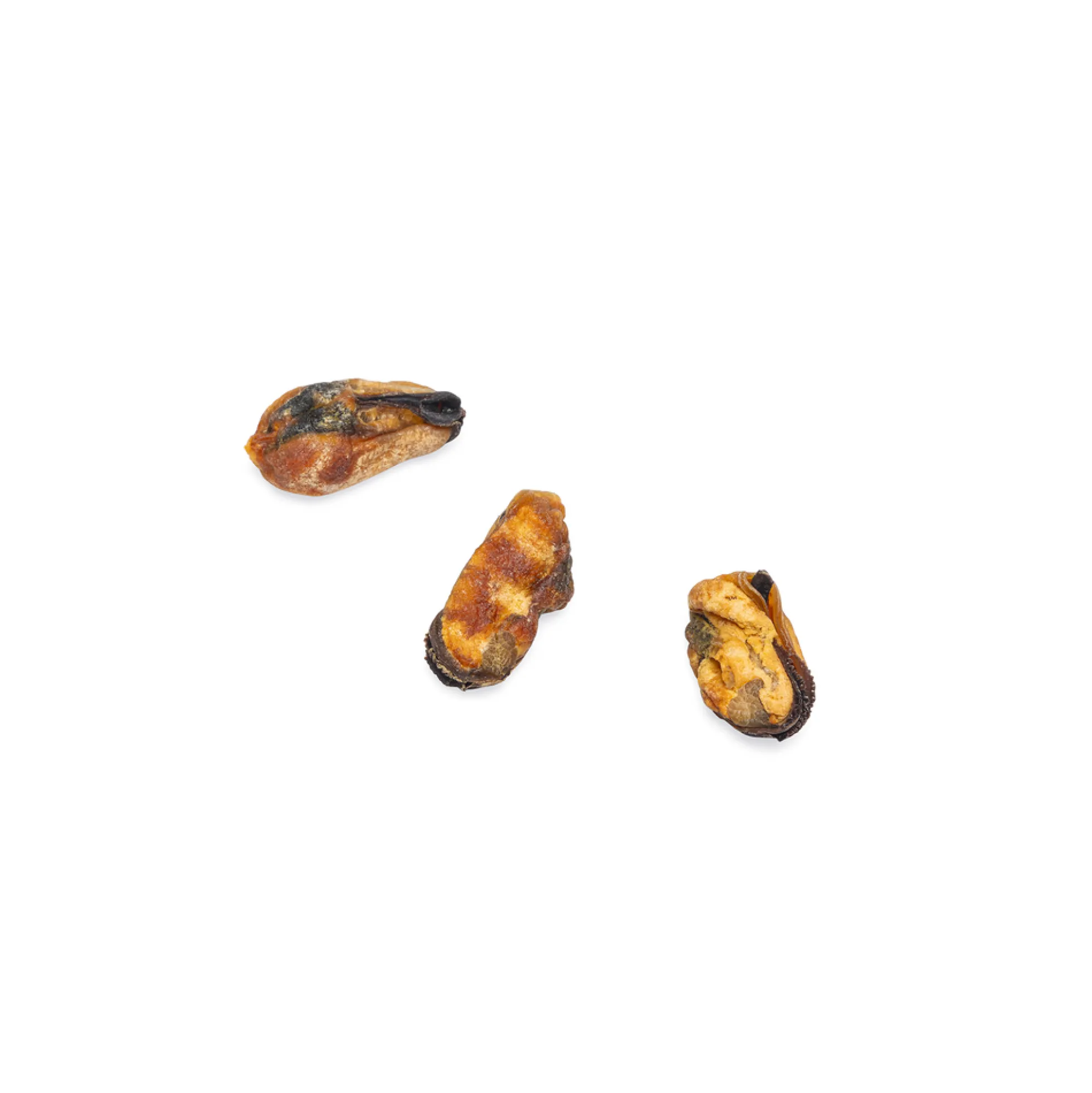Beeztees Cozze Essiccate