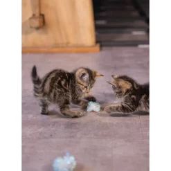 Beeztees Gattino Palline Fruscianti