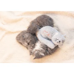 Beeztees Kitten Heartbeat Peluche