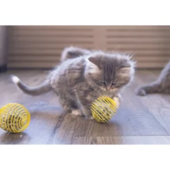 Beeztees Palla a Molla per Gattini