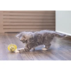 Beeztees Palla a Molla per Gattini