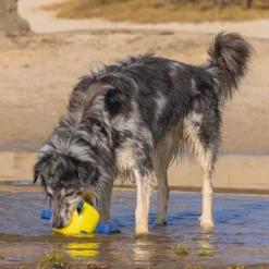 Beeztees Pallina da gioco Power