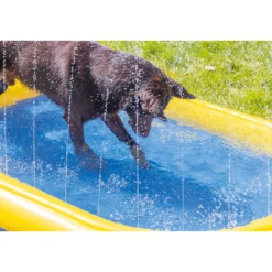 Beeztees Piscina per Cani Palmy