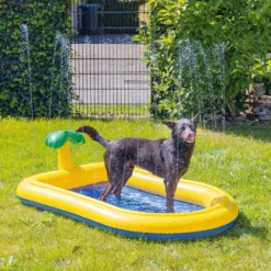 Beeztees Piscina per Cani Palmy