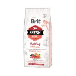 Brit Fresh Beef with Pumpkin - Puppy Large