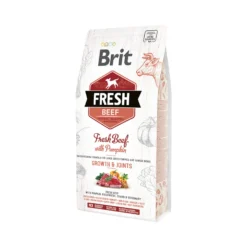 Brit Fresh Beef with Pumpkin - Puppy Large