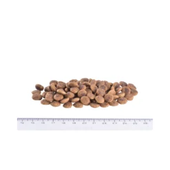 Brit Veterinary Diet Cat - Grain free - Hypoallergenic