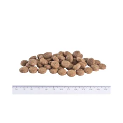 Brit Veterinary Diet Dog - Grain free - Obesity
