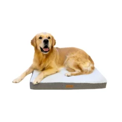 Buckz Cuscino Ortopedico per Cani Bo