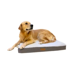 Buckz Cuscino Ortopedico per Cani Bo