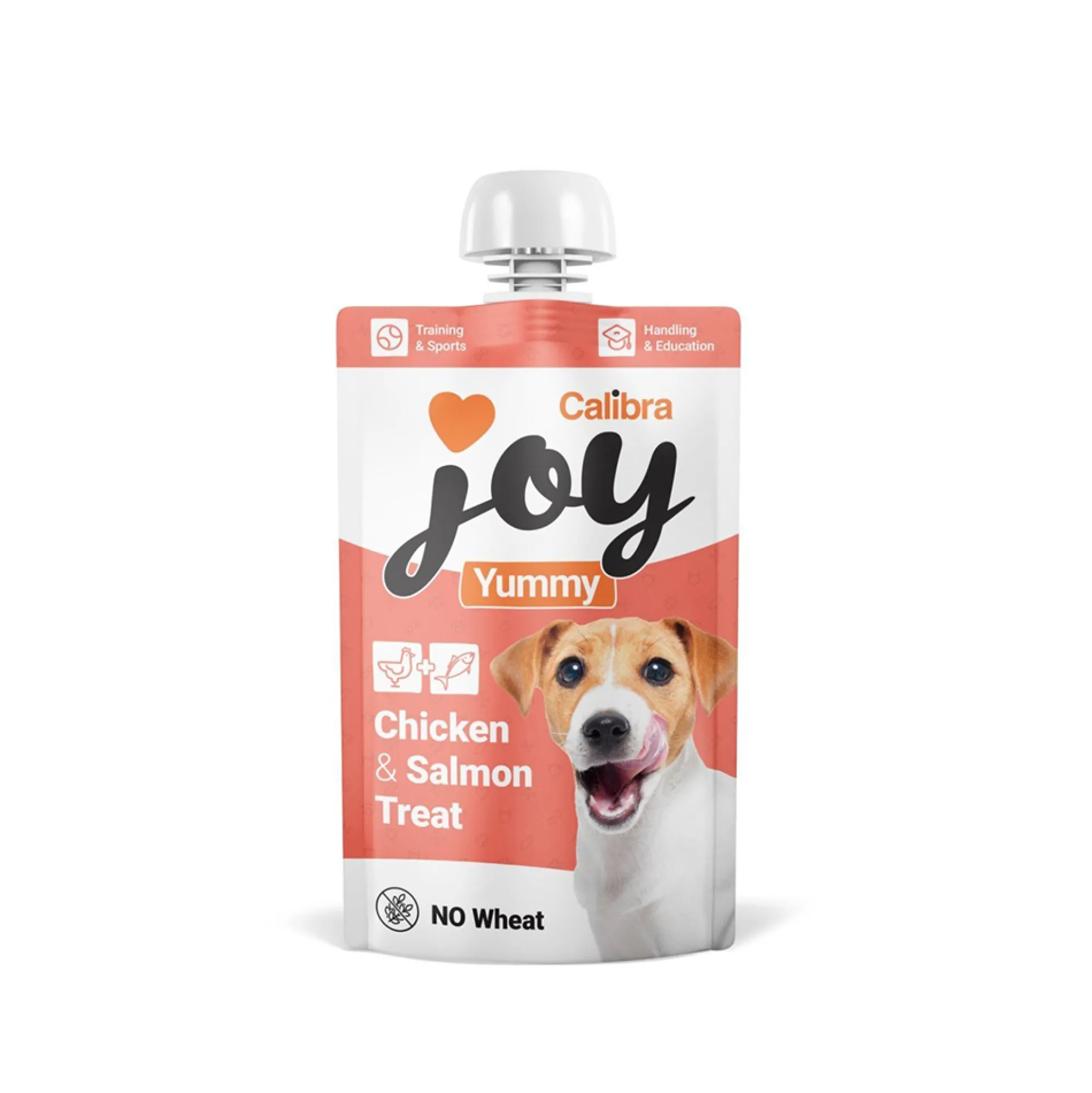 Calibra Joy Dog Yummy Treat