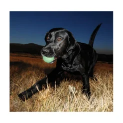 Chuckit! Ball Max Glow