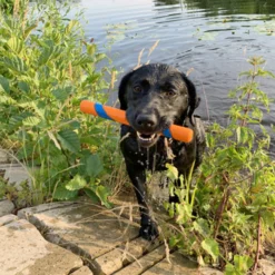 Chuckit! Ultra Fetch Stick