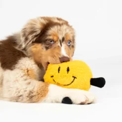 Coockoo Bouncy Buddy