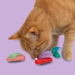 Coockoo Bug Me Not Gioco per Gatti