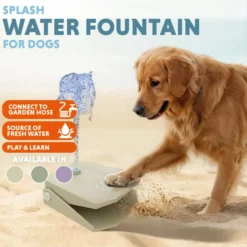 CoolPets Splash Water Fountain