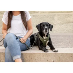 Curli Belka Comfort Harness