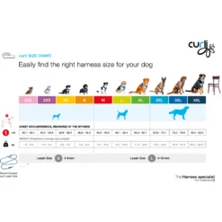Curli Belka Comfort Harness