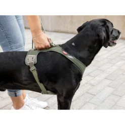 Curli Belka Comfort Harness
