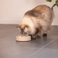Designed by Lotte Bamboo Antiscodella Pom - Gatto