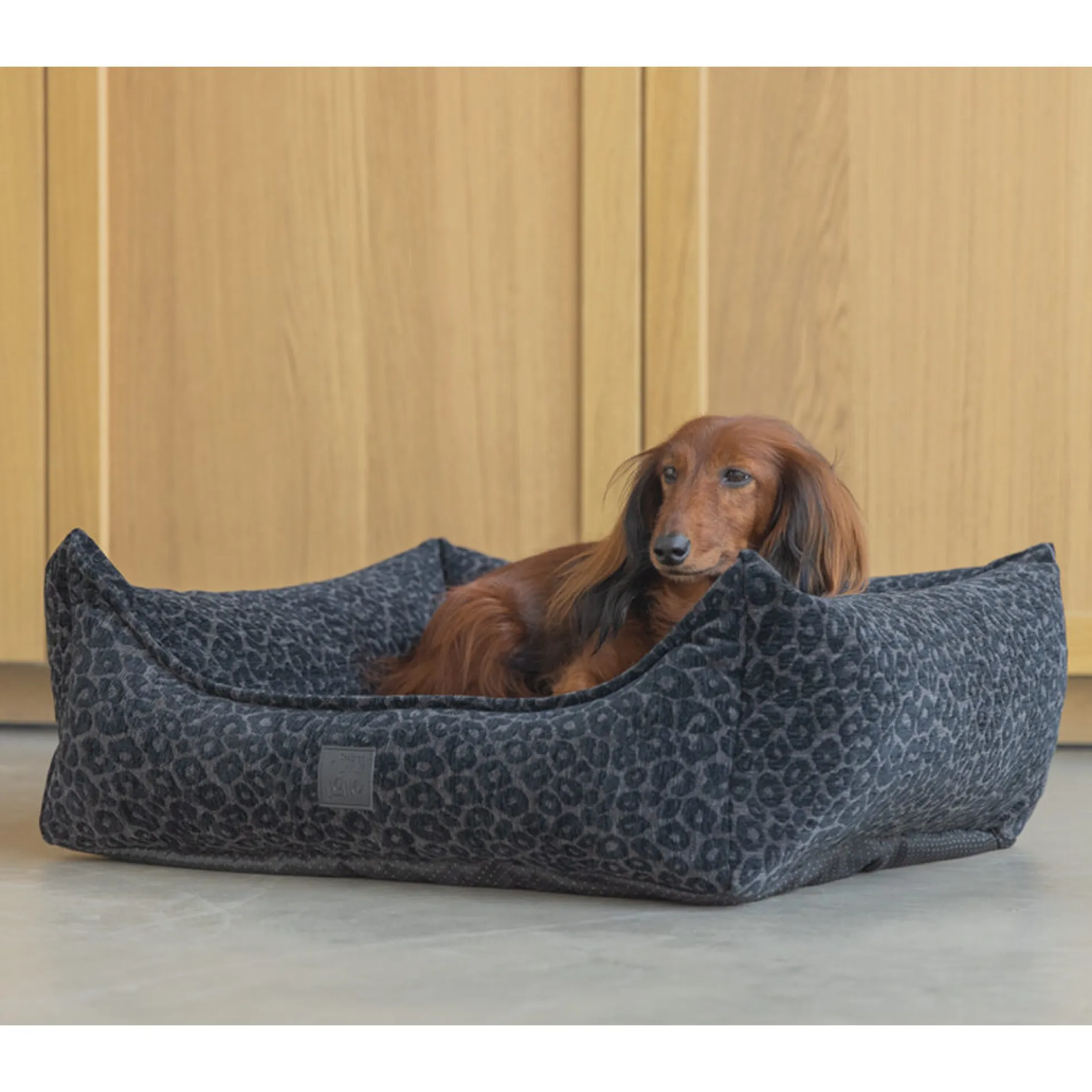 Designed by Lotte Wild Essence Cuccia Ortopedica per Cani