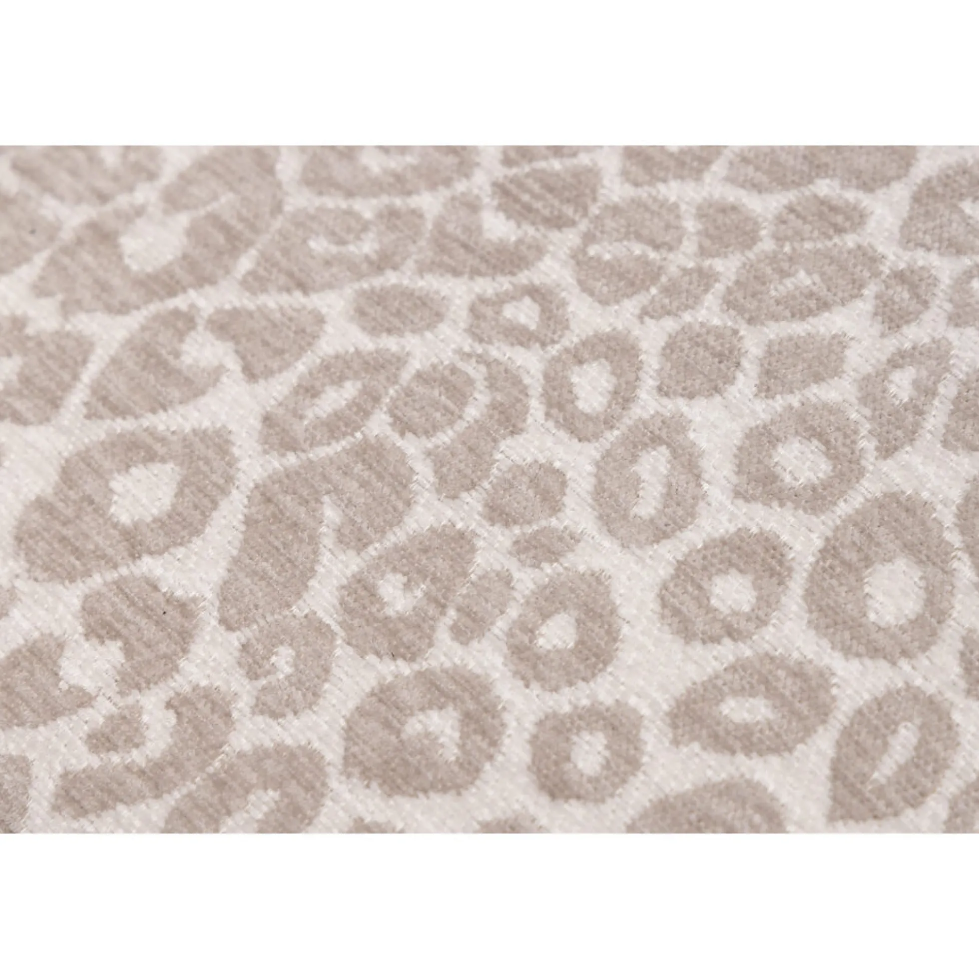 Designed by Lotte Wild Essence Cuccia Ortopedica per Cani