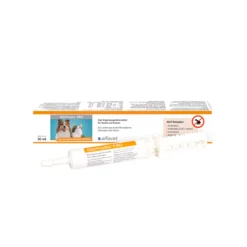 DiarPositiv PRO