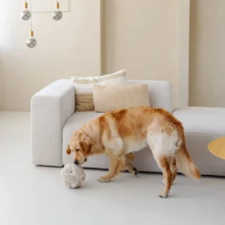 District 70 Bobby Snuffle Ball