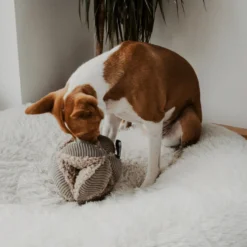 District 70 Bobby Snuffle Ball