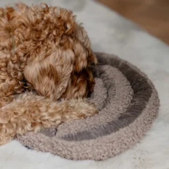 District 70 Swirl Snuffle Mat