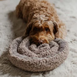District 70 Swirl Snuffle Mat