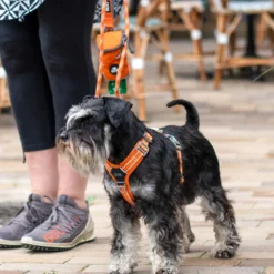 DOG Copenhagen Comfort Walk Air Pettorina