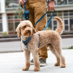 DOG Copenhagen Comfort Walk Air Pettorina